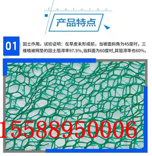 陽江三維植被土工網(wǎng)墊 生態(tài)護(hù)坡的優(yōu)選材料