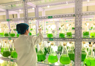 科技賦能，振興鄉(xiāng)村 內(nèi)蒙古企業(yè)捐贈(zèng)千萬元微藻修復(fù)液助力農(nóng)牧業(yè)增產(chǎn)增收