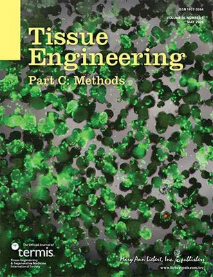 3D干細(xì)胞大規(guī)模制備工藝榮登國(guó)際期刊封面，華龕生物引領(lǐng)細(xì)胞技術(shù)新突破