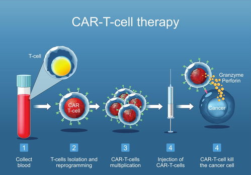 從單點(diǎn)突破到協(xié)同發(fā)展 省二醫(yī)血液科細(xì)胞治療中心的成立與展望